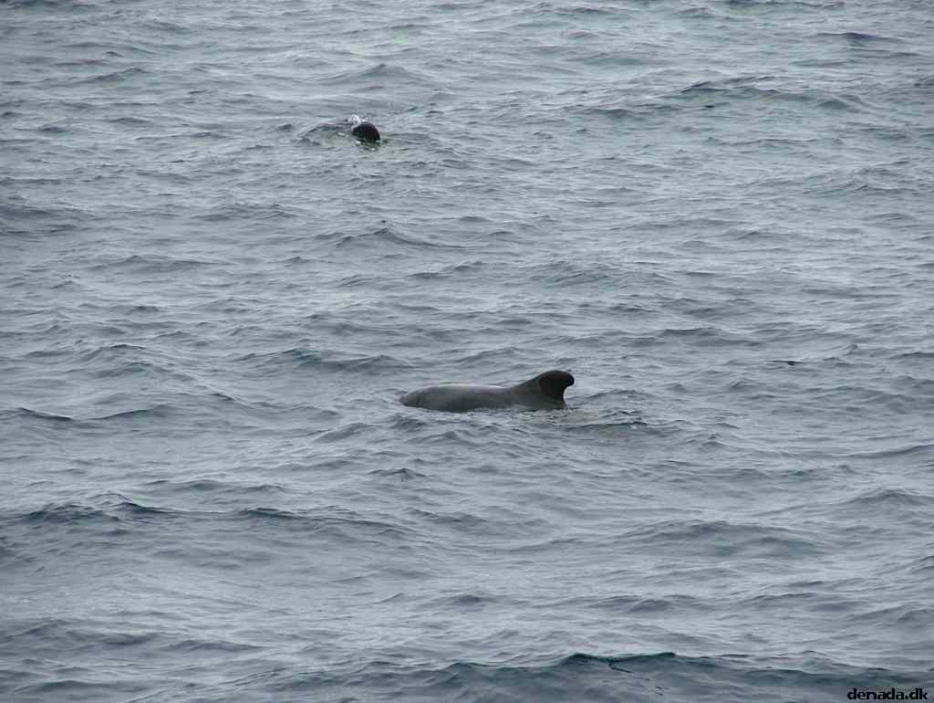 * Image 189