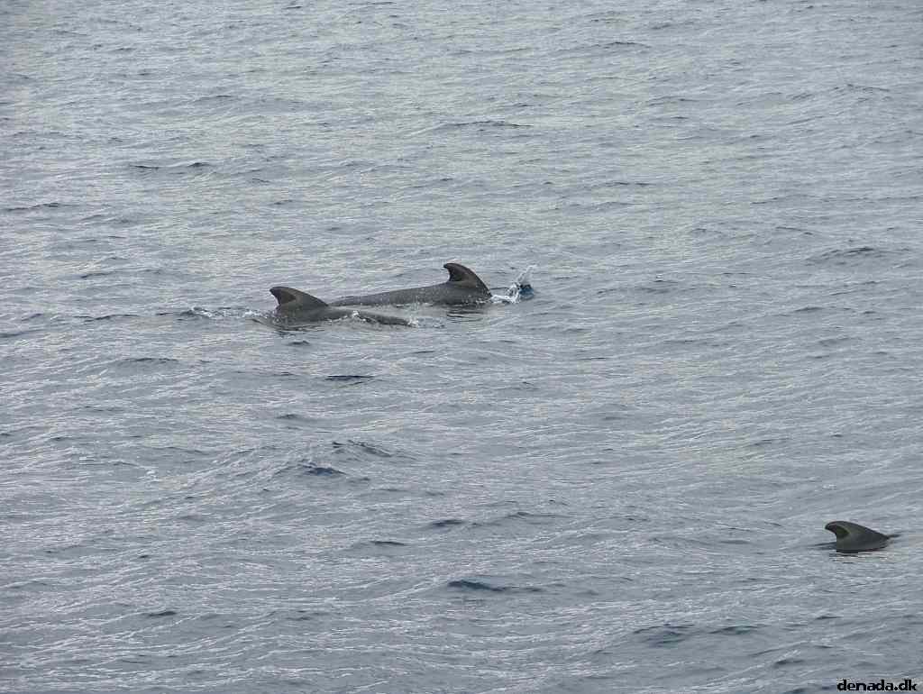 * Image 193