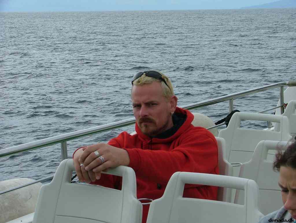 * Image 203