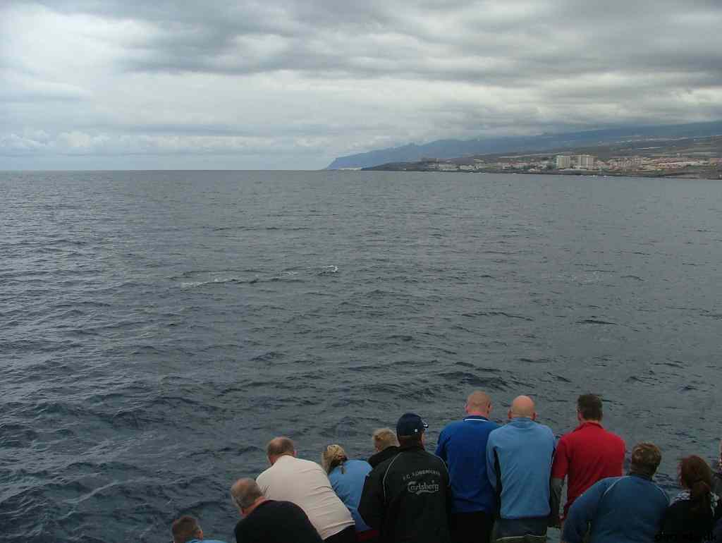 * Image 208