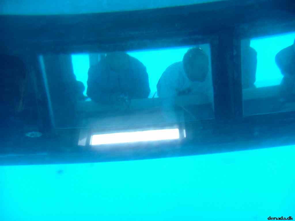 * Image 209