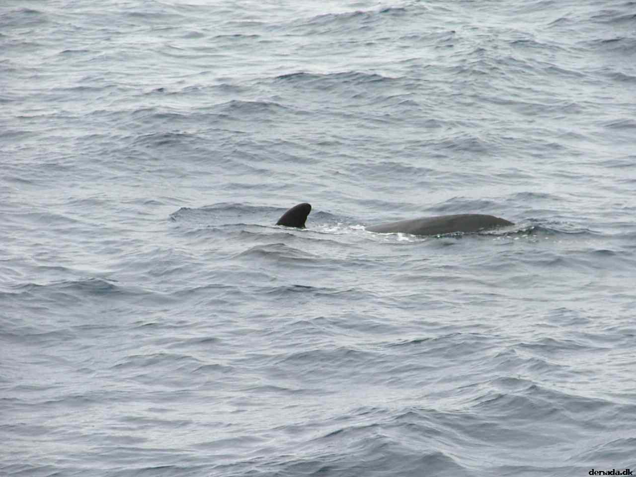 * Image 187