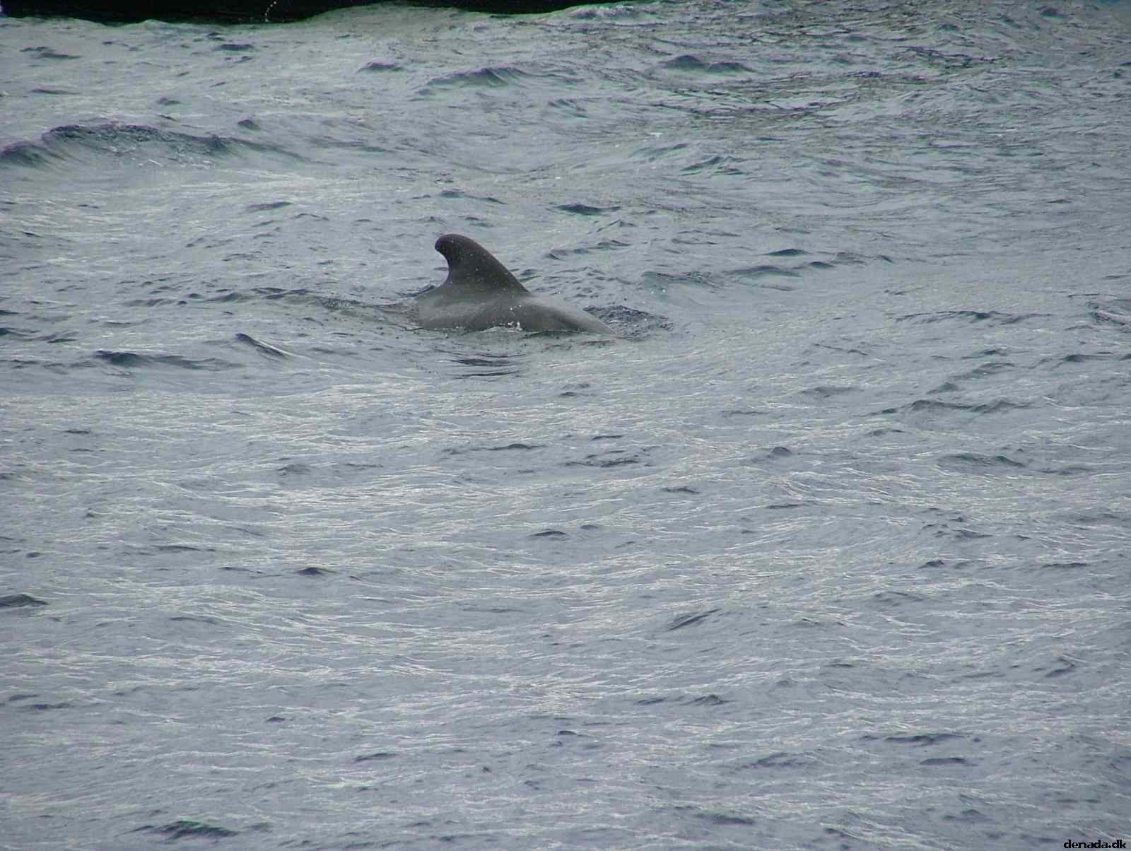 * Image 180
