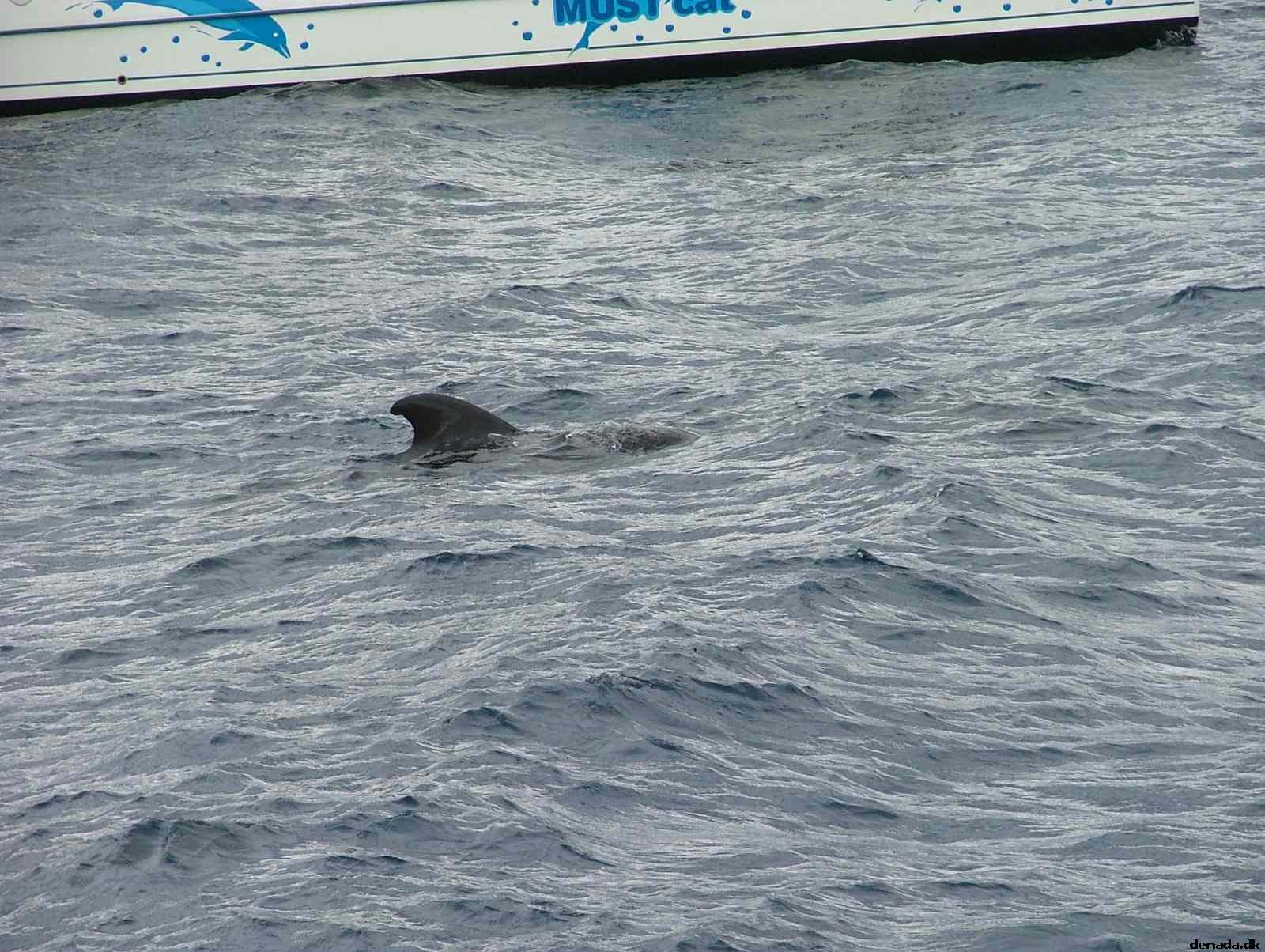 * Image 181