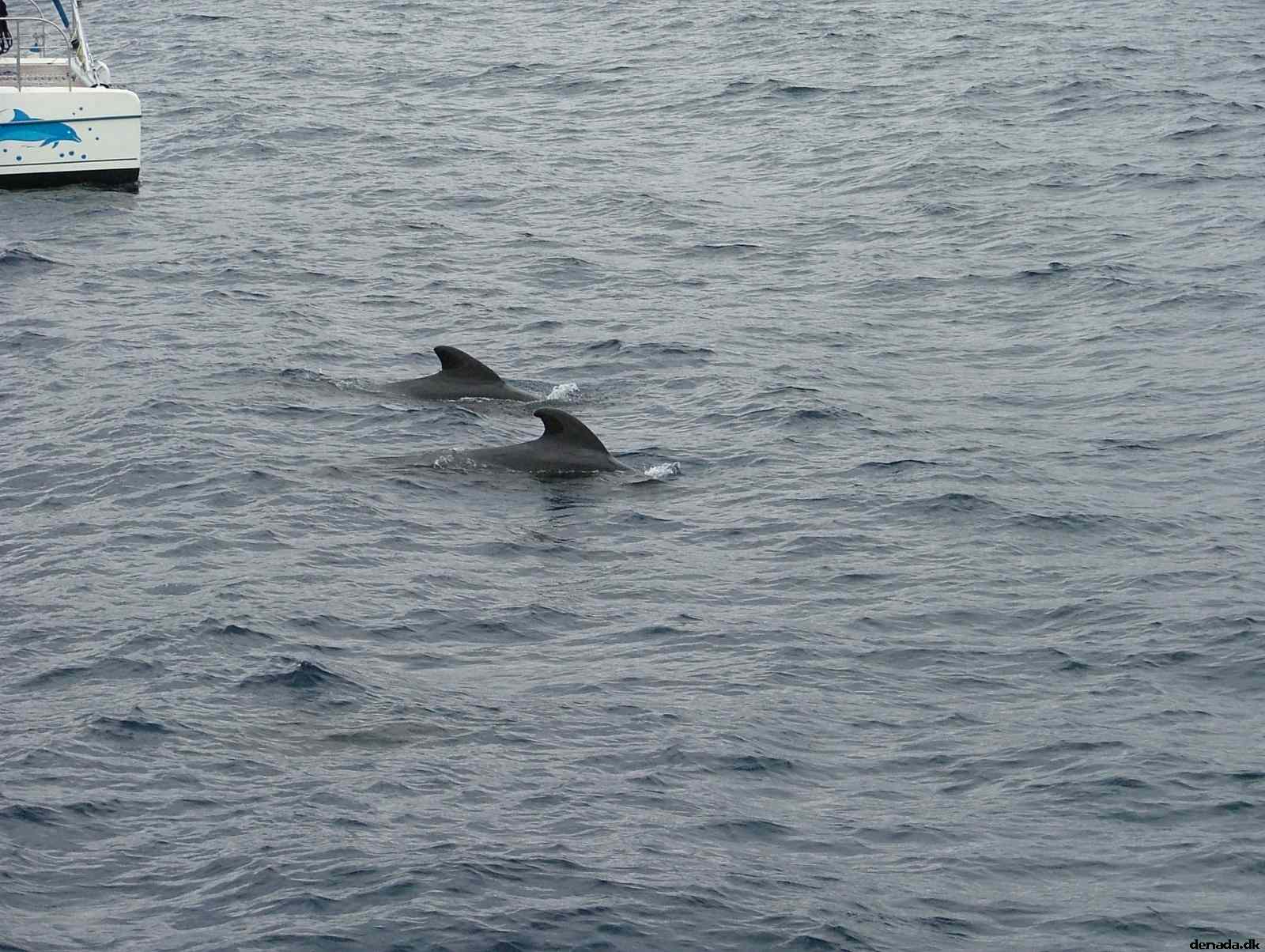 * Image 184