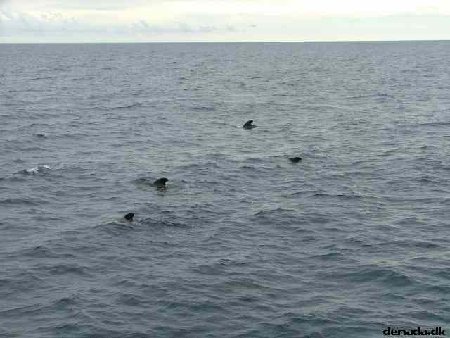 * Image 186