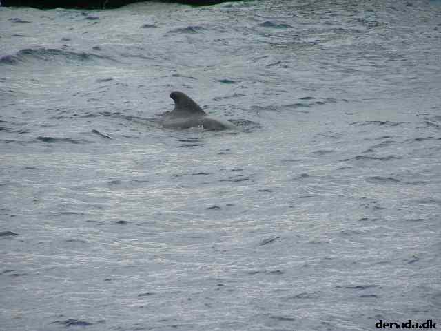 * Image 180