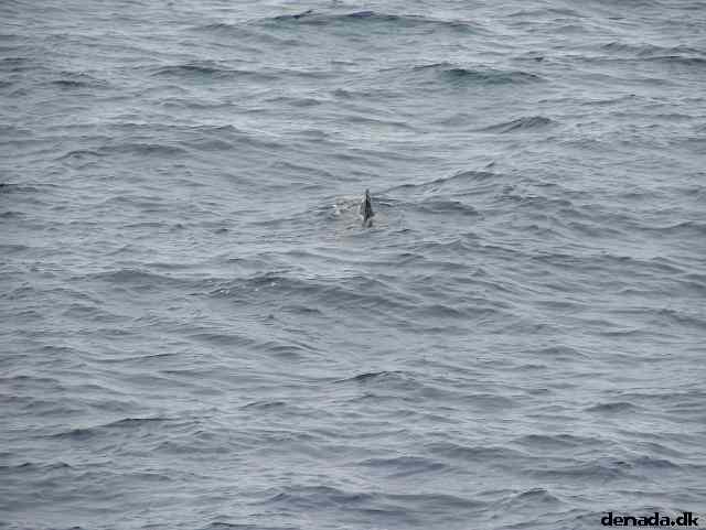 * Image 188