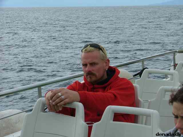 * Image 203