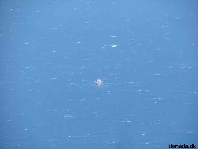 * Image 289