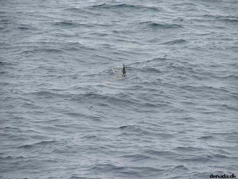 * Image 188
