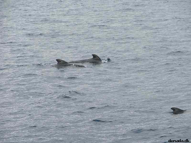 * Image 193