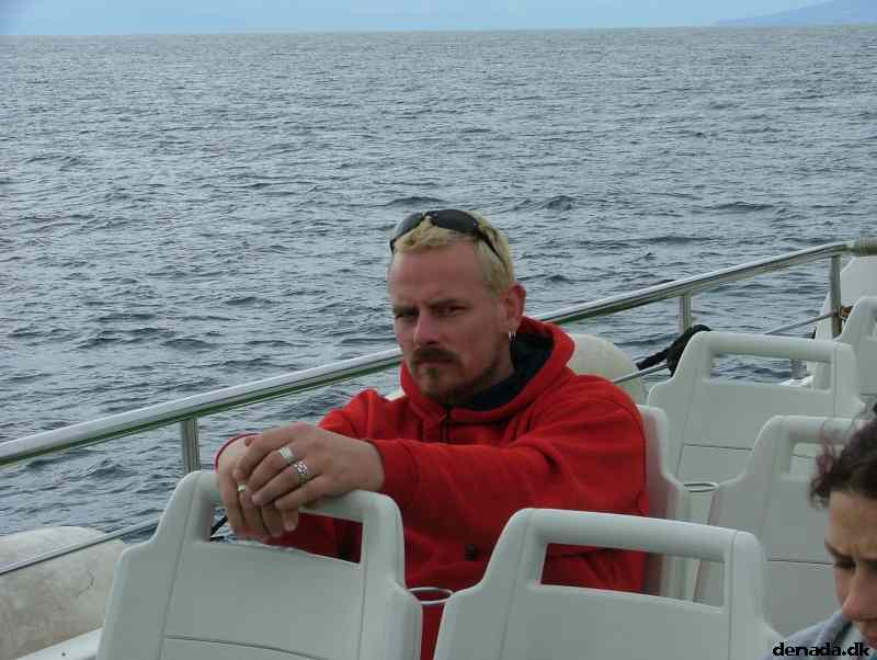 * Image 203