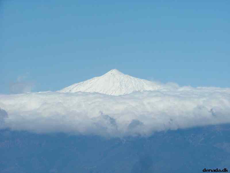 * Image 298
