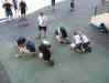 DSCF3949.JPG - 2007:01:23 15:57:38