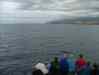 DSCF4114.JPG - 2007:01:26 01:00:51
