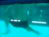 DSCF4127.JPG - 2007:01:26 01:26:06
