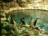Tenerife_116.jpg - 2007:01:27 13:52:23