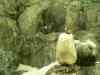 Tenerife_128.jpg - 2007:01:27 13:55:17