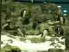 Tenerife_158.jpg - 2007:01:27 14:01:48
