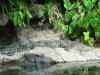 Tenerife_202.jpg - 2007:01:27 14:35:57