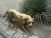 Tenerife_291.jpg - 2007:01:27 15:34:41