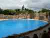 Tenerife_293.jpg - 2007:01:27 15:43:05