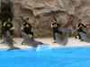 Tenerife_299.jpg - 2007:01:27 15:46:20