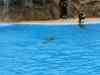 Tenerife_315.jpg - 2007:01:27 15:52:08