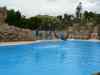 Tenerife_316.jpg - 2007:01:27 15:53:15