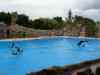 Tenerife_319.jpg - 2007:01:27 15:54:21