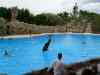 Tenerife_321.jpg - 2007:01:27 15:54:40