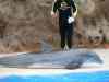 Tenerife_326.jpg - 2007:01:27 15:57:32