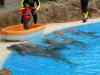 Tenerife_342.jpg - 2007:01:27 16:02:24