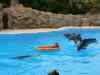Tenerife_346.jpg - 2007:01:27 16:03:04