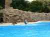Tenerife_359.jpg - 2007:01:27 16:05:49