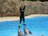 Tenerife_365.jpg - 2007:01:27 16:06:31