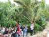 Tenerife_374.jpg - 2007:01:27 16:11:05