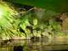 Tenerife_389.jpg - 2007:01:27 16:33:53