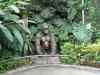 Tenerife_400.jpg - 2007:01:27 16:53:49