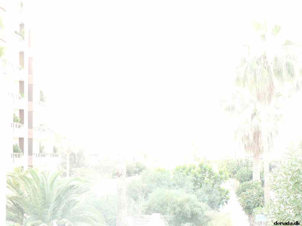 * Image 3