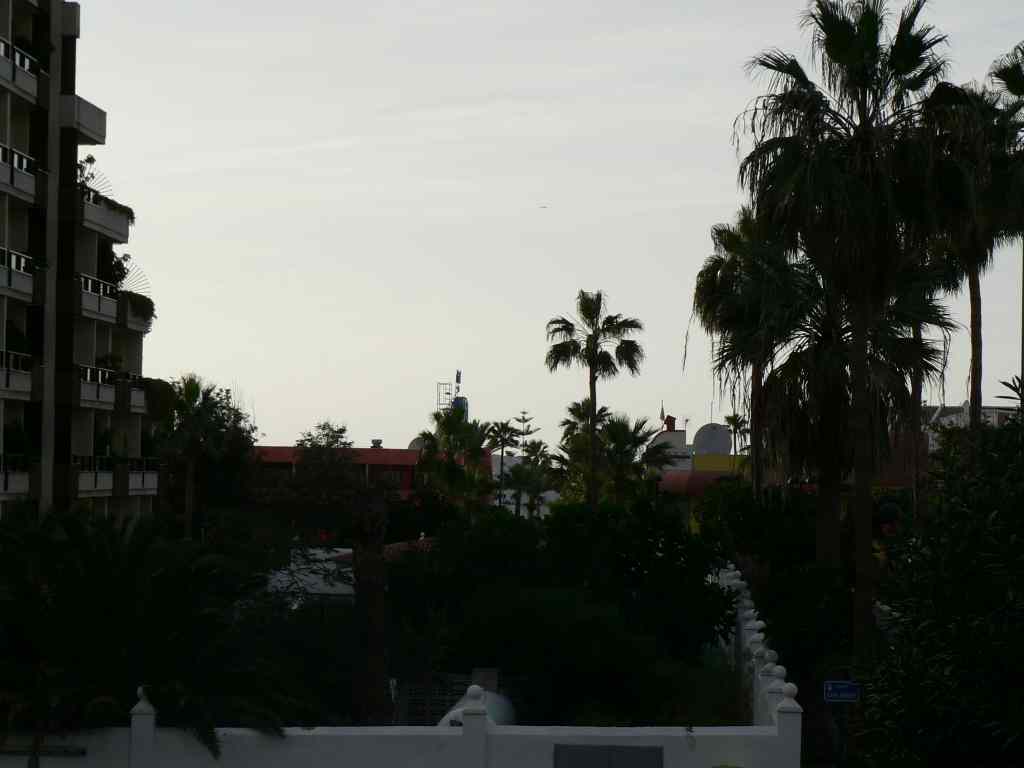 * Image 4