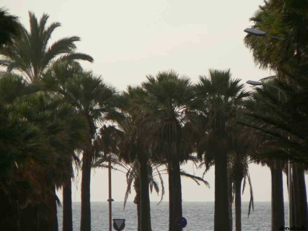 * Image 6