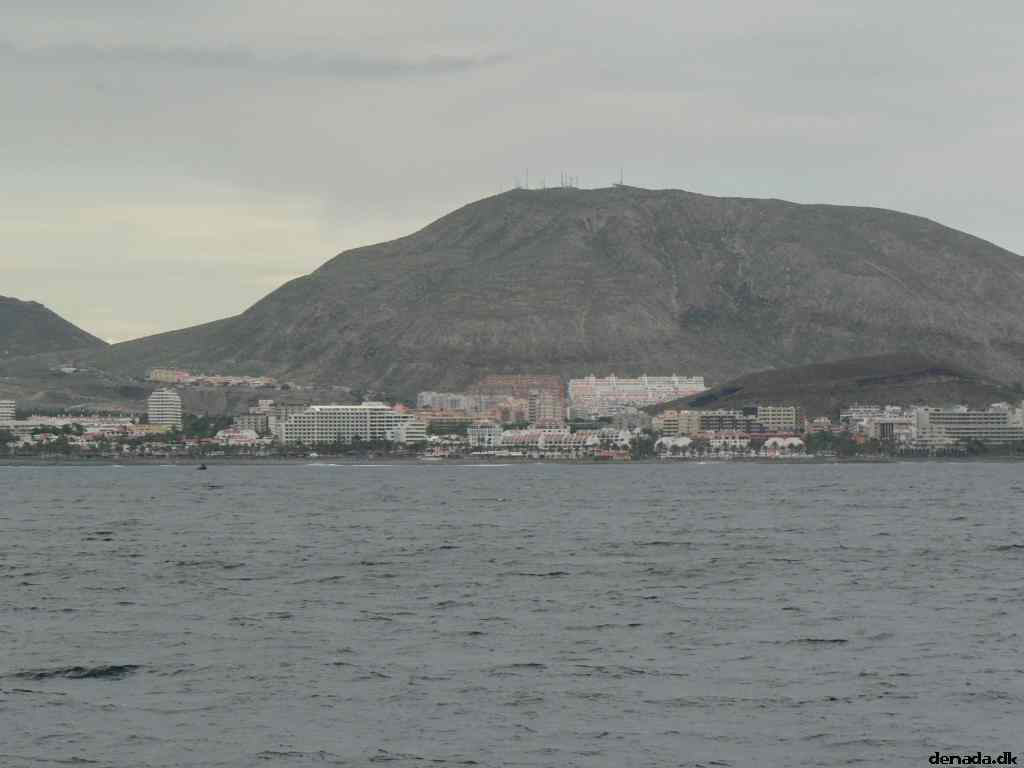 * Image 37