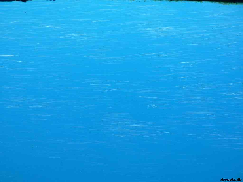 * Image 44