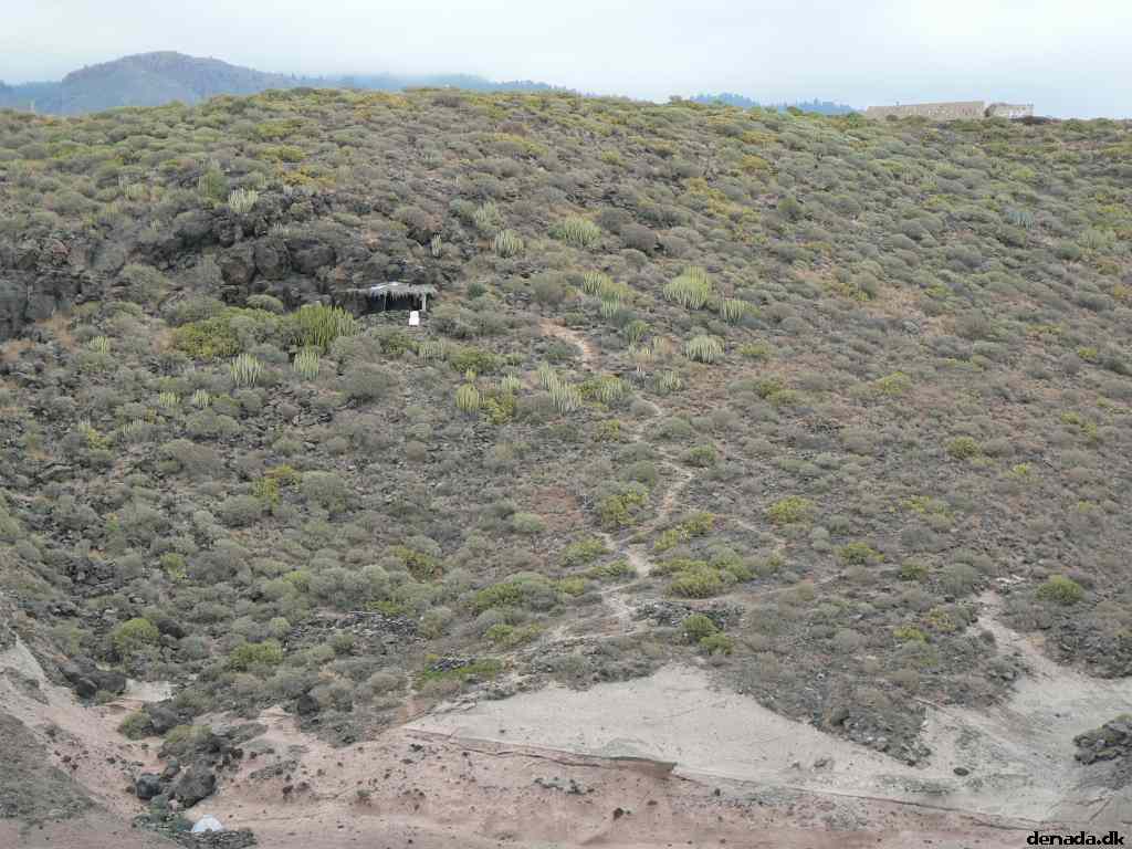 * Image 51