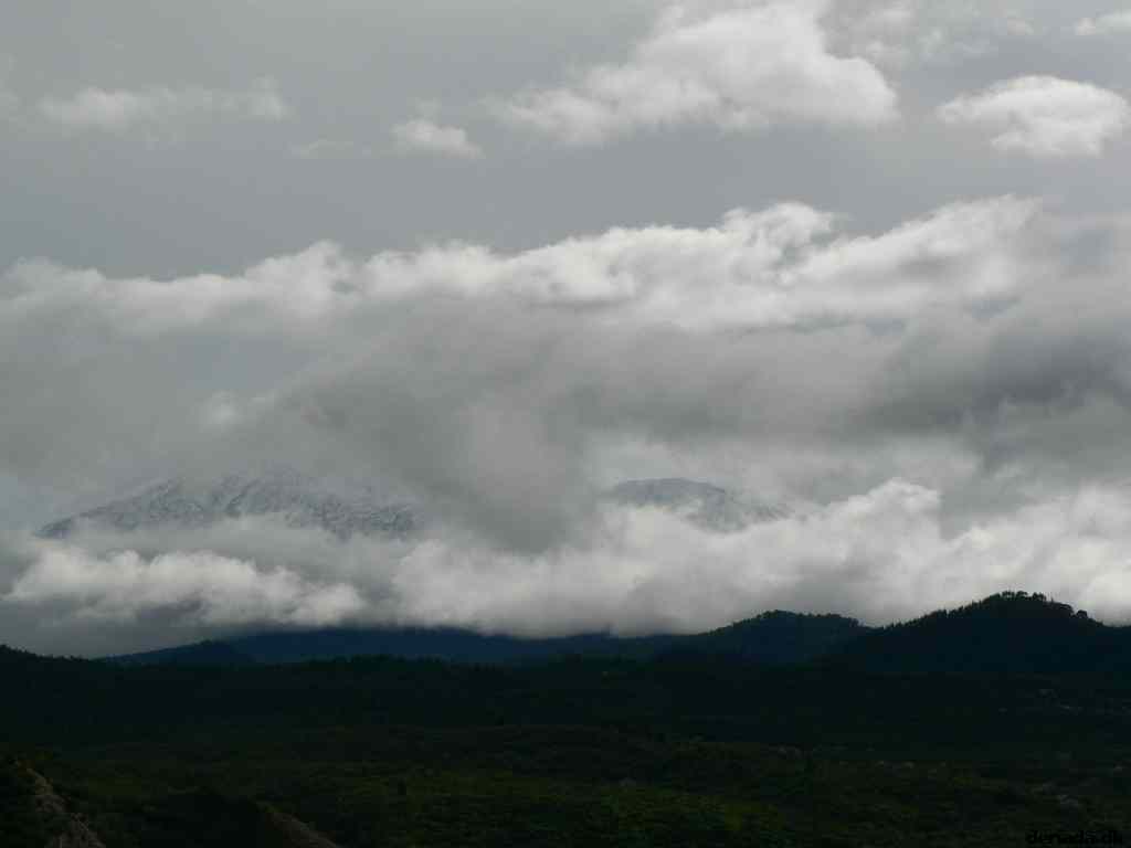 * Image 78
