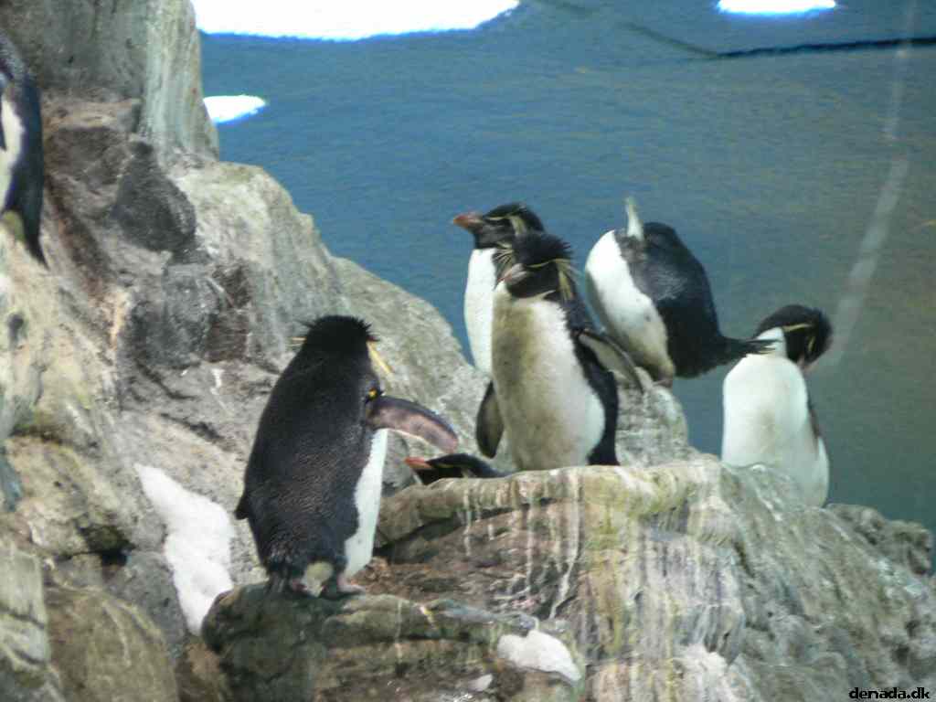 * Image 143