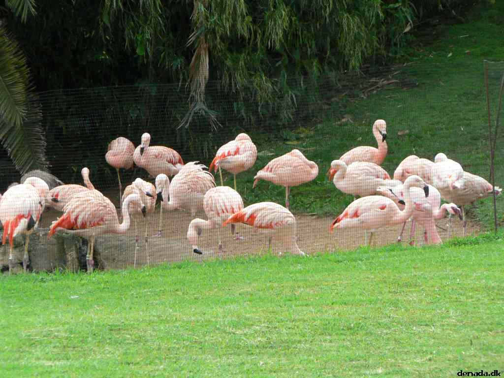 * Image 187