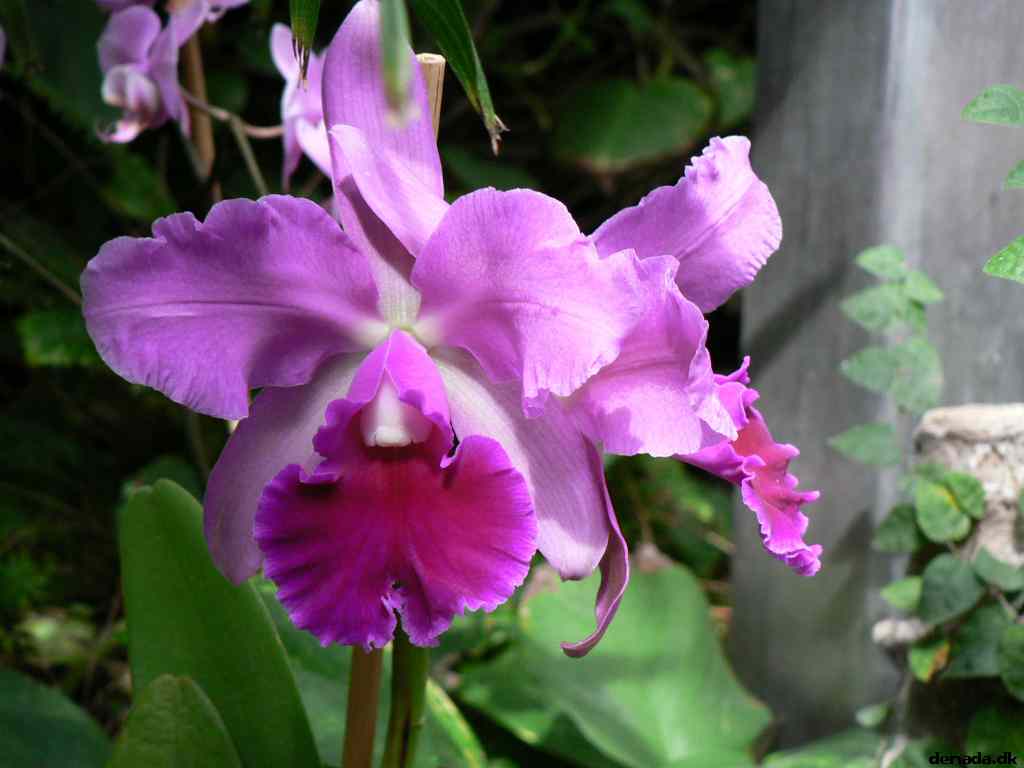 * Image 193